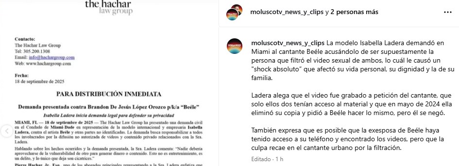 MOLUSCO