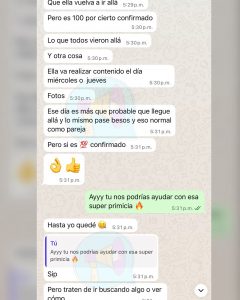 Chats Rechismes