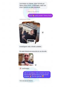 Chats Rechismes