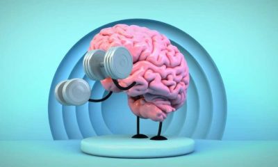 CEREBRO