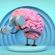 CEREBRO